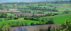 Lee más sobre el artículo ¿Qué es la Red Natura 2000?
