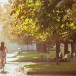 ¿Cómo la economía circular puede ayudar a nuestra ciudad? Ejemplos prácticos