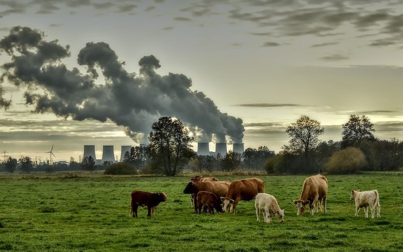 El impacto de las emisiones de CO2 ha aumentado en 2023, lo que representa un desafío significativo para los objetivos climáticos globales