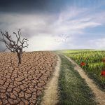 Crisis climática y de biodiversidad: desbloqueando el potencial humano para superar la resistencia al cambio