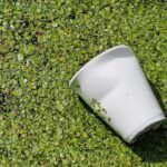 Del desperdicio a la riqueza: cómo diferenciar materiales para un Planeta más sostenible