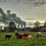 Las 36 empresas contaminantes que impulsan la crisis climática: ¿qué puedes hacer al respecto?