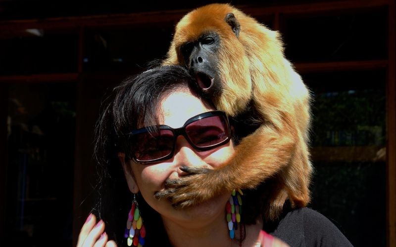 El greenhushing o ecosilencio es la práctica que utilizan las empresas para evitar comunicar públicamente sus iniciativas de sostenibilidad