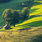 Suelos que atrapan emisiones: la revolución de la agricultura del carbono