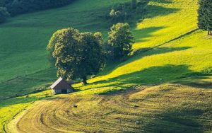 Lee más sobre el artículo Suelos que atrapan emisiones: la revolución de la agricultura del carbono