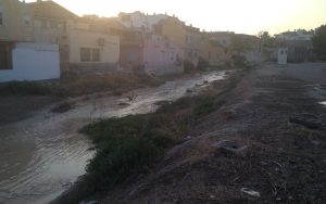 Lee más sobre el artículo Aprendemos a golpe de desastre climático
