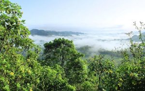 Lee más sobre el artículo ¿Estamos a punto de cruzar umbrales climáticos que cambiarán el mundo tal como lo conocemos?