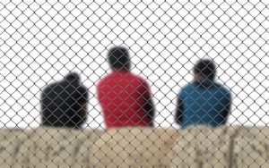 Lee más sobre el artículo Cómo la transición sostenible avanza incluso cuando la política la frena