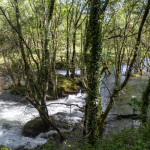 Guimarães: la Capital Verde Europea 2026 que ha hecho de la sostenibilidad su cultura