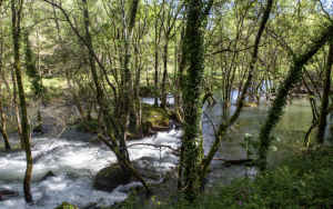 Lee más sobre el artículo Guimarães: la Capital Verde Europea 2026 que ha hecho de la sostenibilidad su cultura