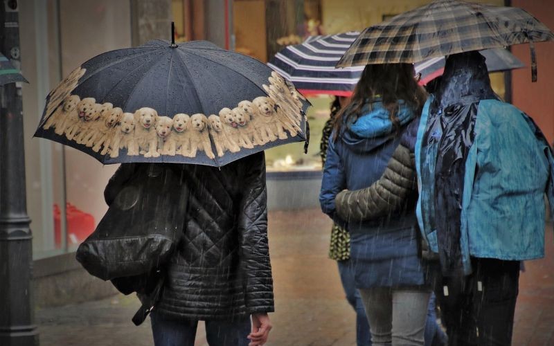 La paradoja del invierno 2026 es que el calentamiento global no elimina el invierno, pero si lo vuelve más errático y más extremo a escala regional