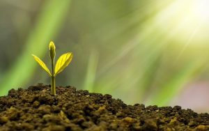 Lee más sobre el artículo Sostenibilidad generativa: la IA que suma y no sólo consume