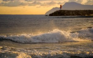 Lee más sobre el artículo Sin naturaleza no hay economía: la sostenibilidad como ventaja competitiva