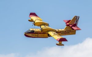 Lee más sobre el artículo ¿El cambio climático provoca los incendios forestales? La respuesta no es tan simple (1)