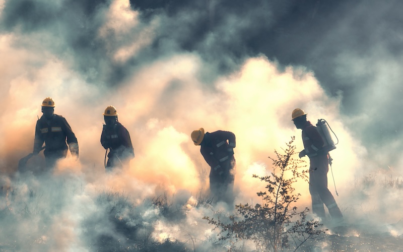 El cambio climático no enciende los incendios forestales, pero sí puede hacer que se propaguen con más facilidad e intensidad
