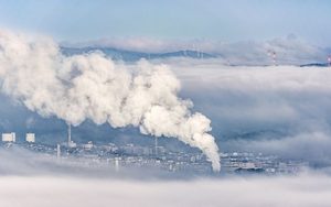 Lee más sobre el artículo Economía climática y créditos fantasma: cuando compensar carbono no equivale a reducir emisiones