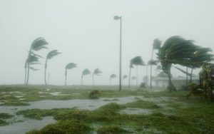 Lee más sobre el artículo El termómetro oculto del Planeta revela océanos que siguen acumulando calor