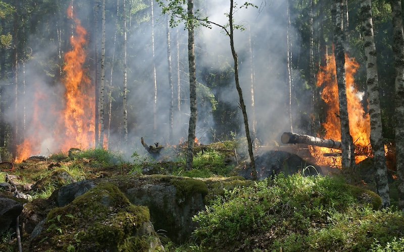 El Piroceno se enfoca en distinguir entre el fuego ecológicamente necesario, el fuego destructivo y la combustión industrial que altera el clima