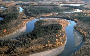 Lee más sobre el artículo El permafrost es una bomba climática que se descongela bajo nuestros pies